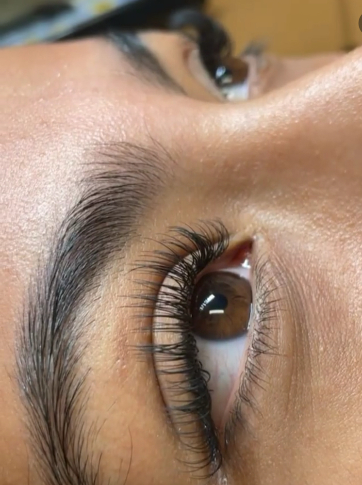Lash Classic Set