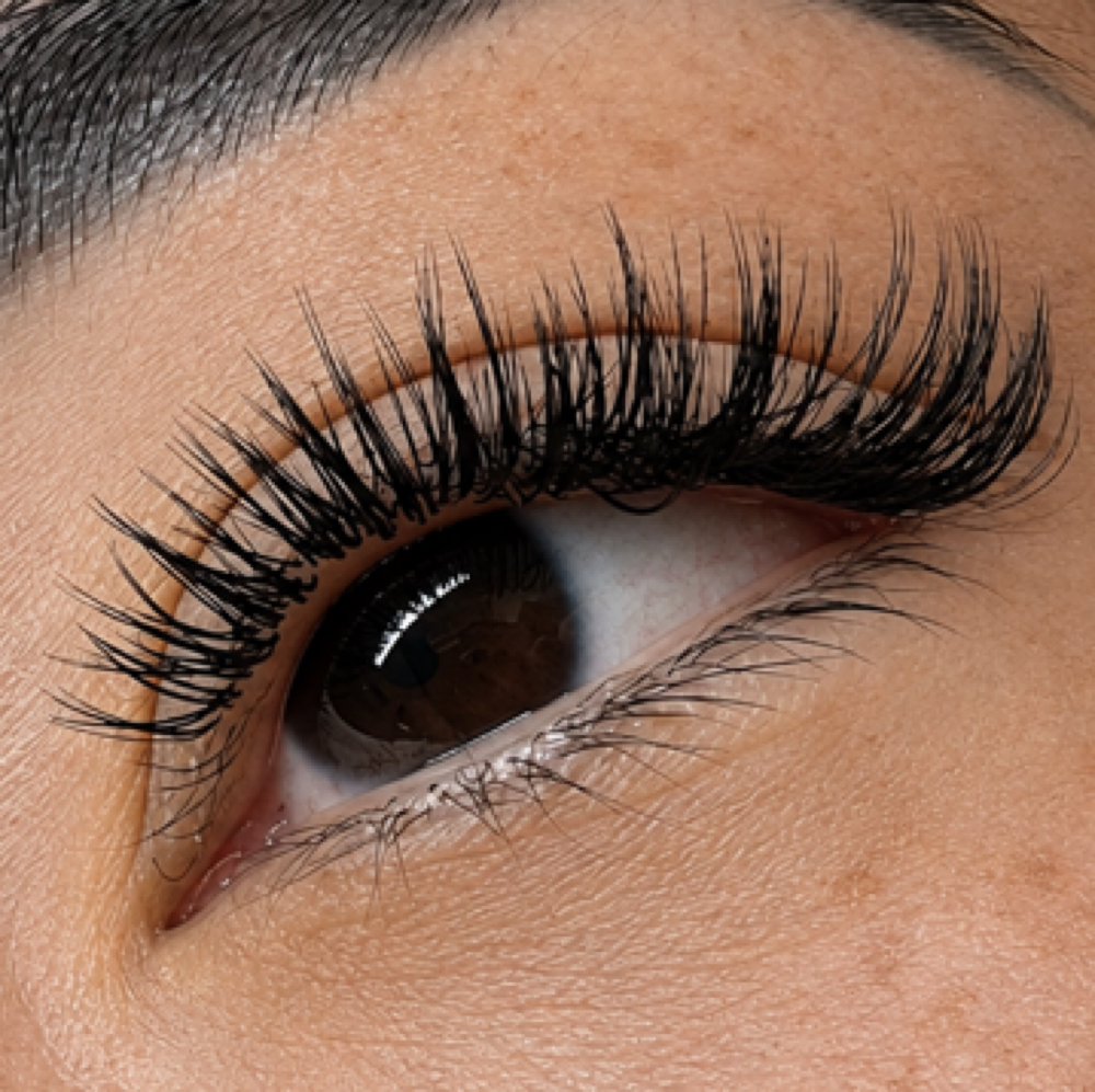 Wet Look Full set at Gingie Lashes & Brows in Buffalo Grove, IL