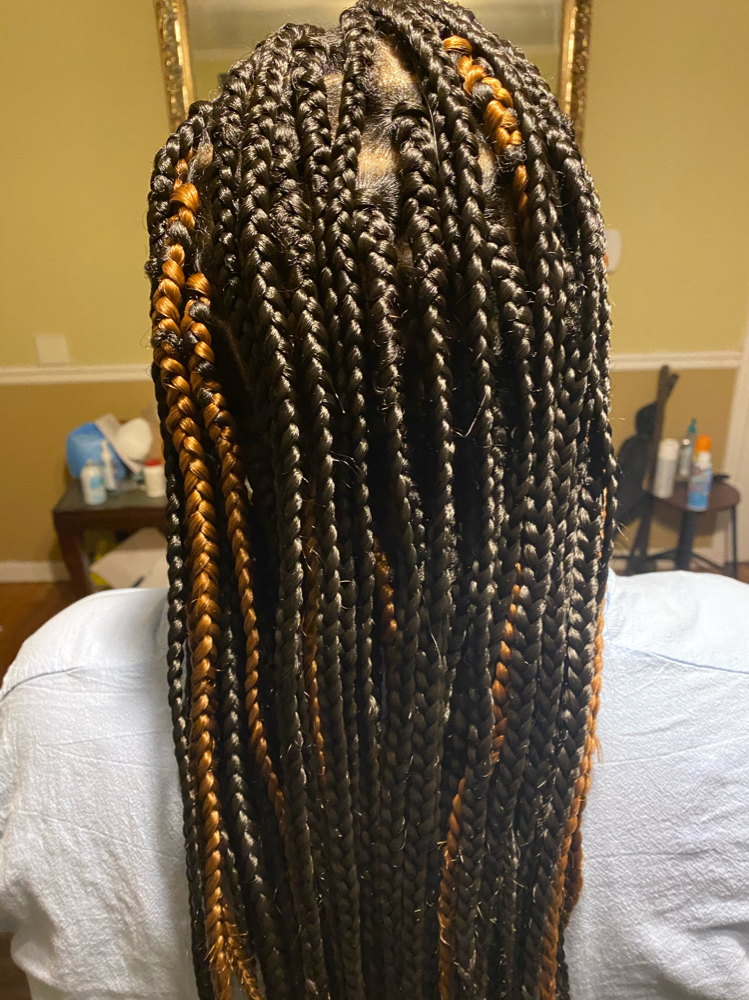 Mid/lower Back  BoxBraids/ Indiv