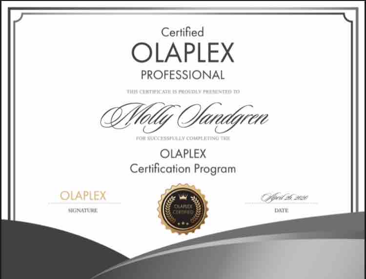 Olaplex Addative at Scissoring Designs in Dalton Gardens, ID