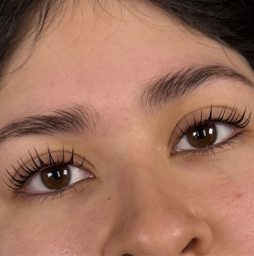 Korean Lash Lift & Tint at Enlightened Esthetics in Wichita, KS