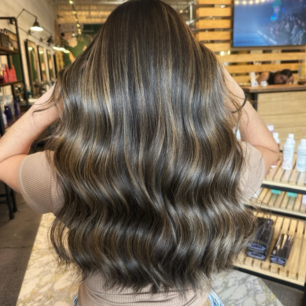 Color Gloss at The Mane Experience in Burr Ridge, IL