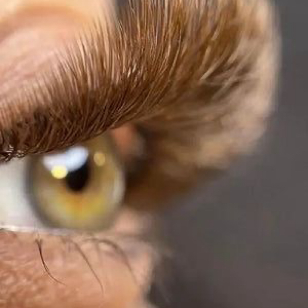 Lashes Brow🤎 at Lilian Oliveira Aesthetician in Malden, MA