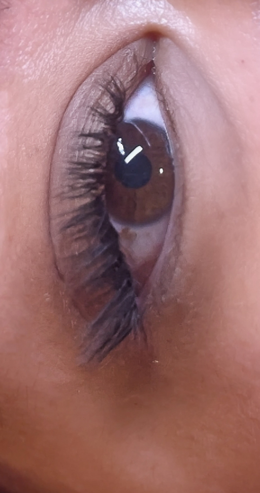 2 Week Foxy Eyeliner Refill