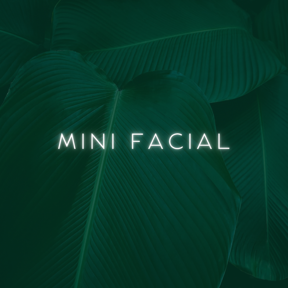 Mini Facial at Femme Lab Esthetics in Chicago, IL