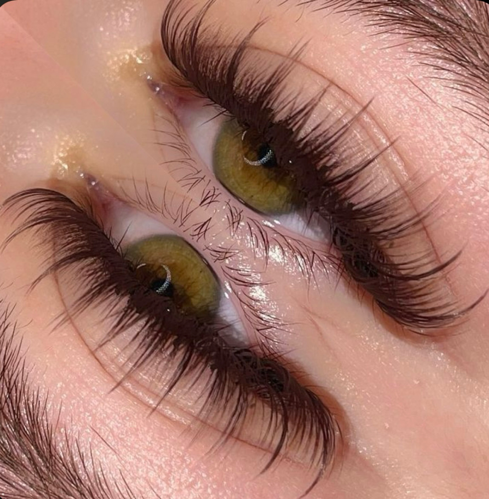 Dark Brown Hybrid Set