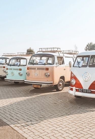 3 Week Classic/Hybrid Fill