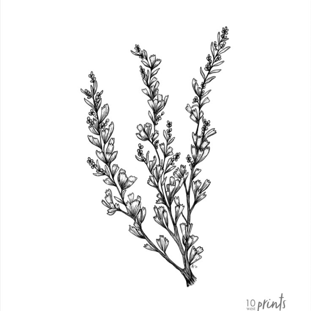 Pixie All Over Color at Eye Candy Beauty in Magna, UT