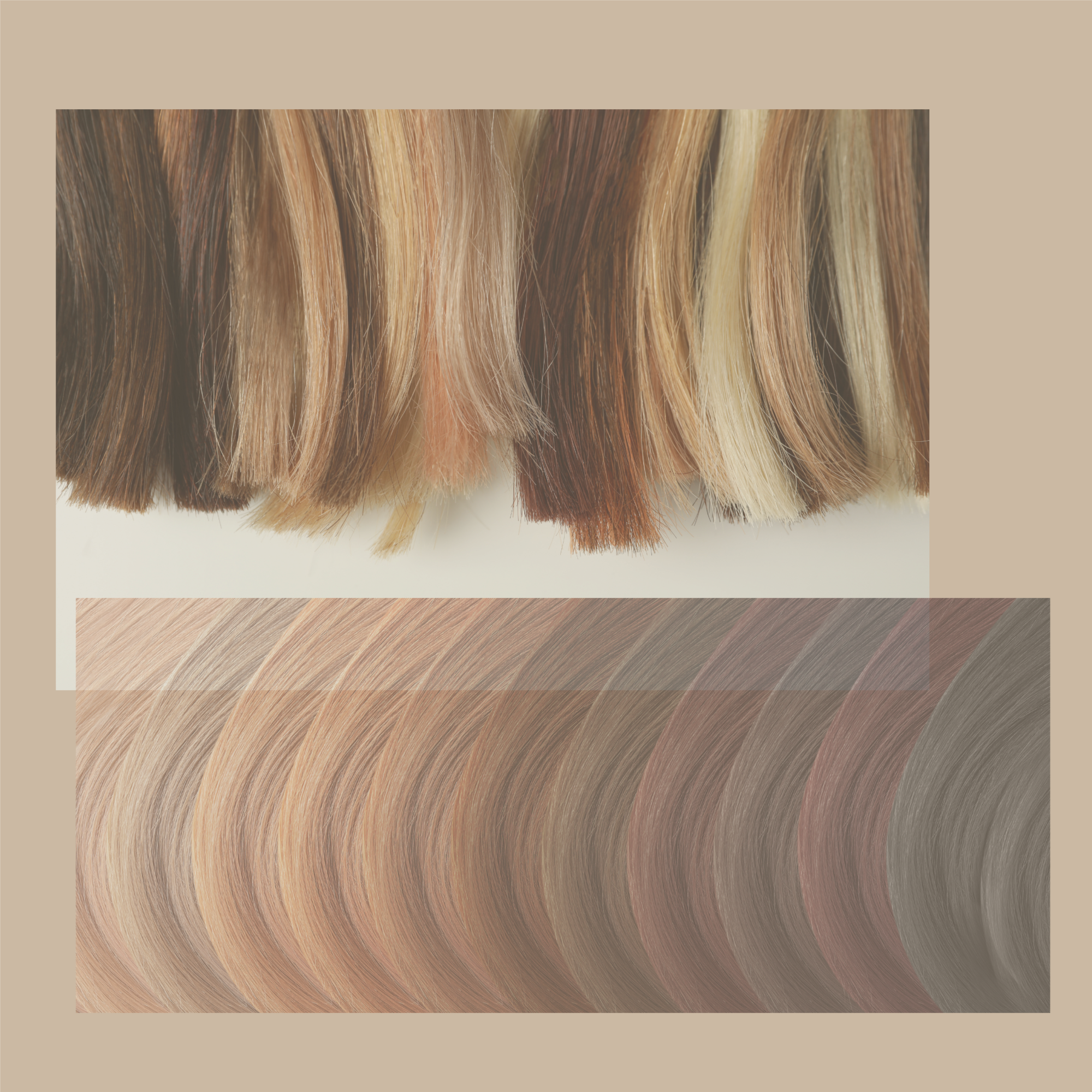 Toner at Ashlee Holley Hair in San Marcos, TX