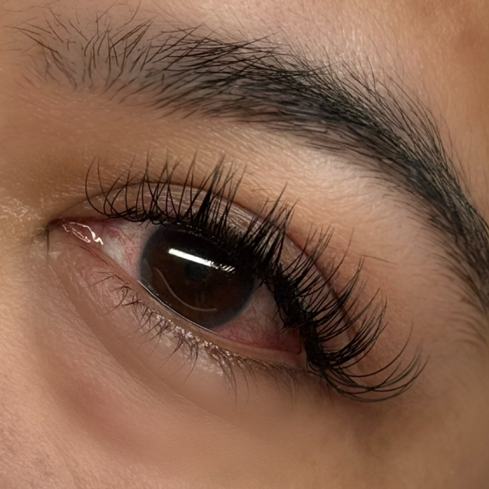 classic at flutterxfer in Spring Valley, CA