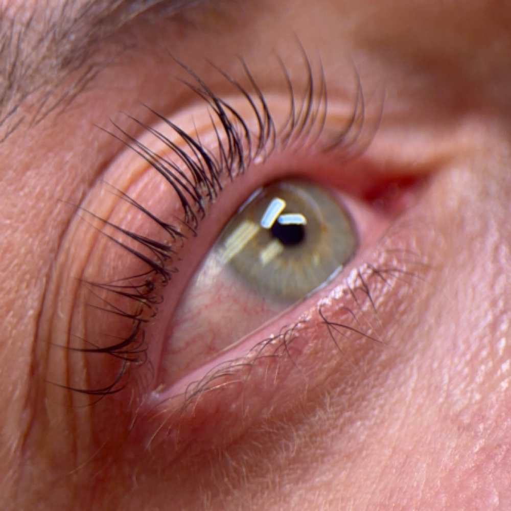 Lash Lift & Tint at LB Lash Studio in West Fargo, ND