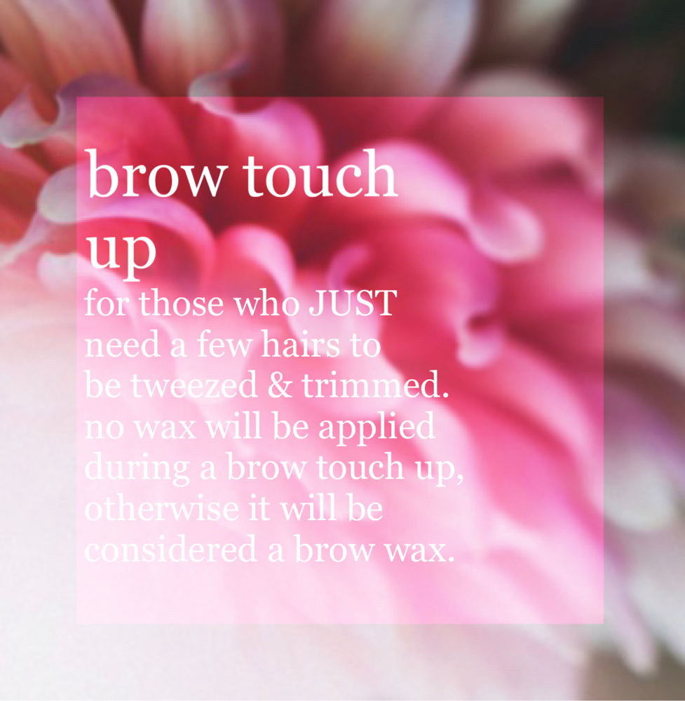 Brow Touch Up