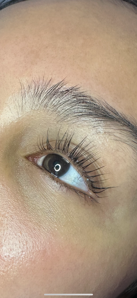 Lash Lift