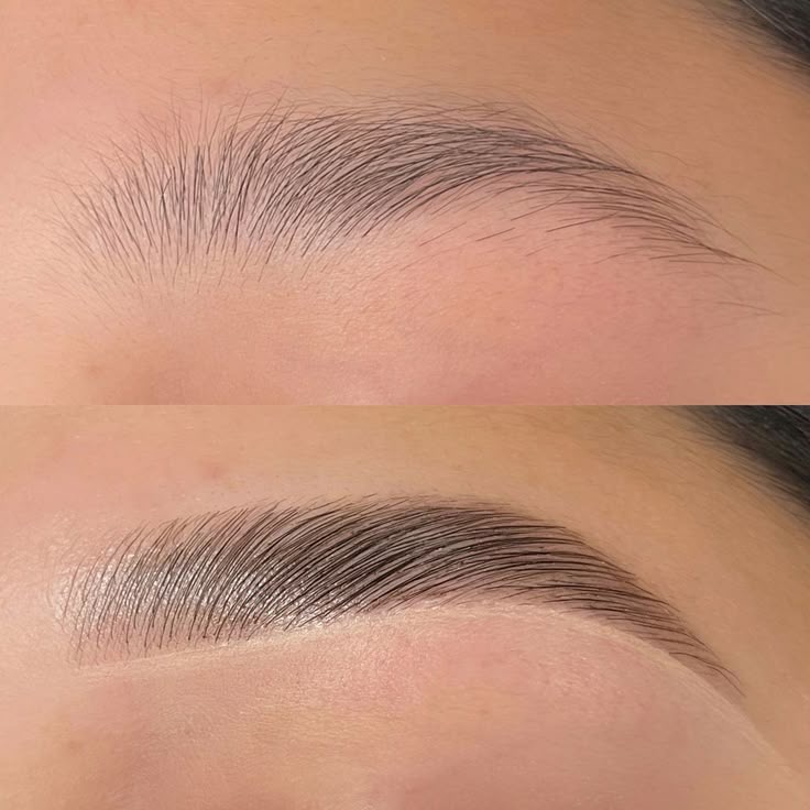 Lash/ Brow tint