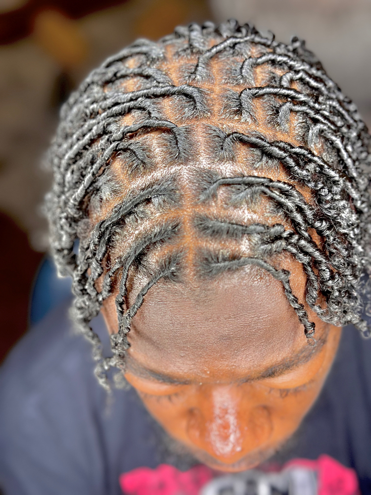 Starter Locs