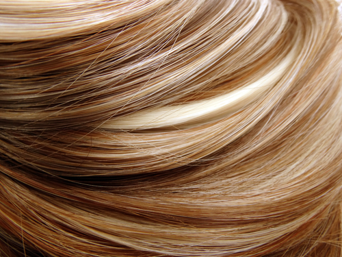 Highlights
