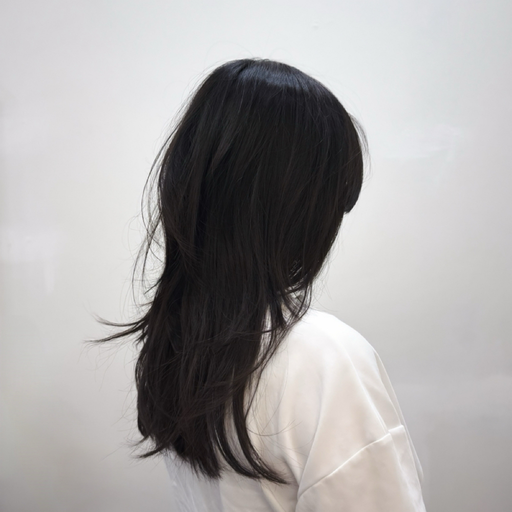 Womens Haircut and Style