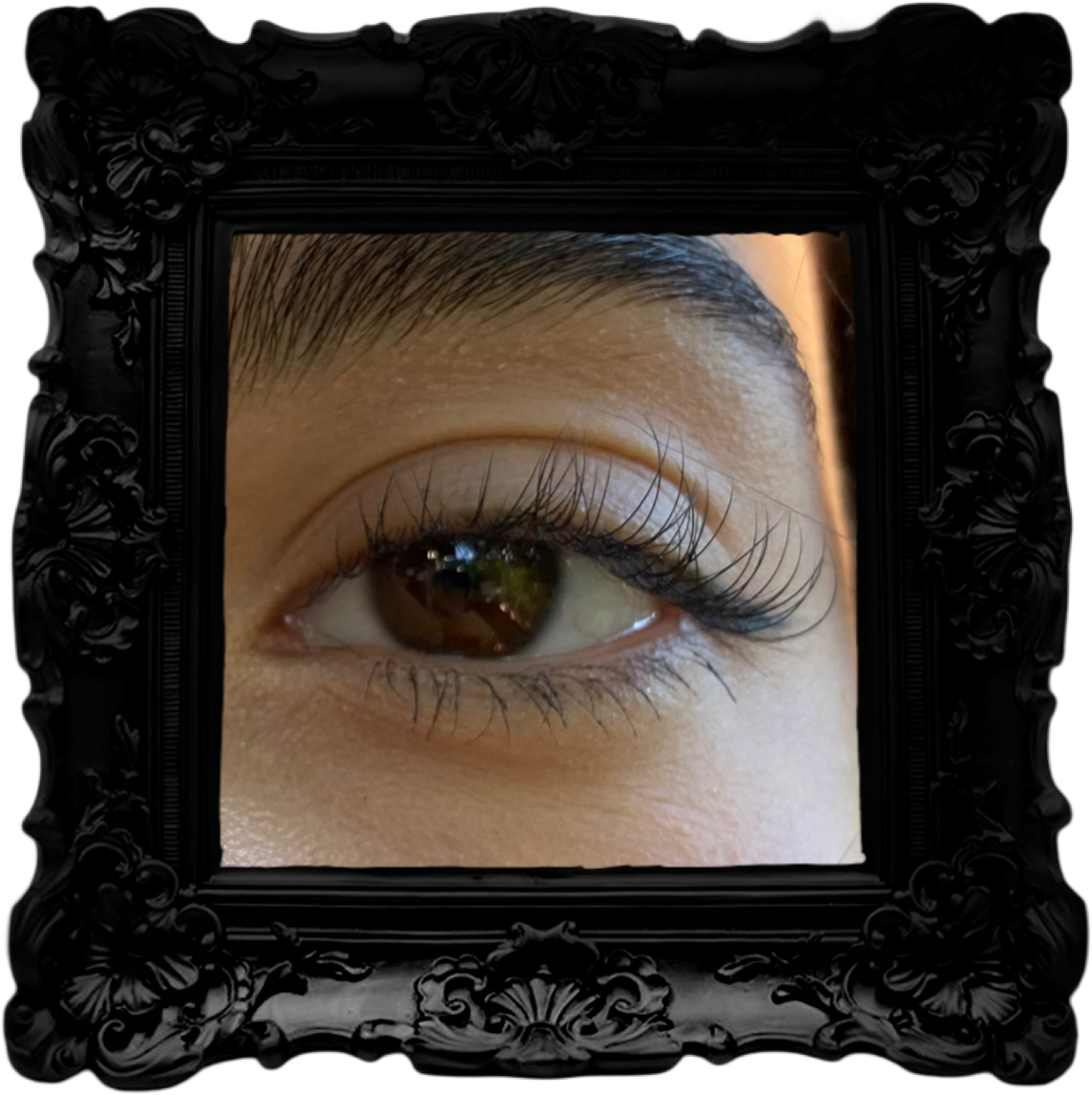 Classic Lash Fill