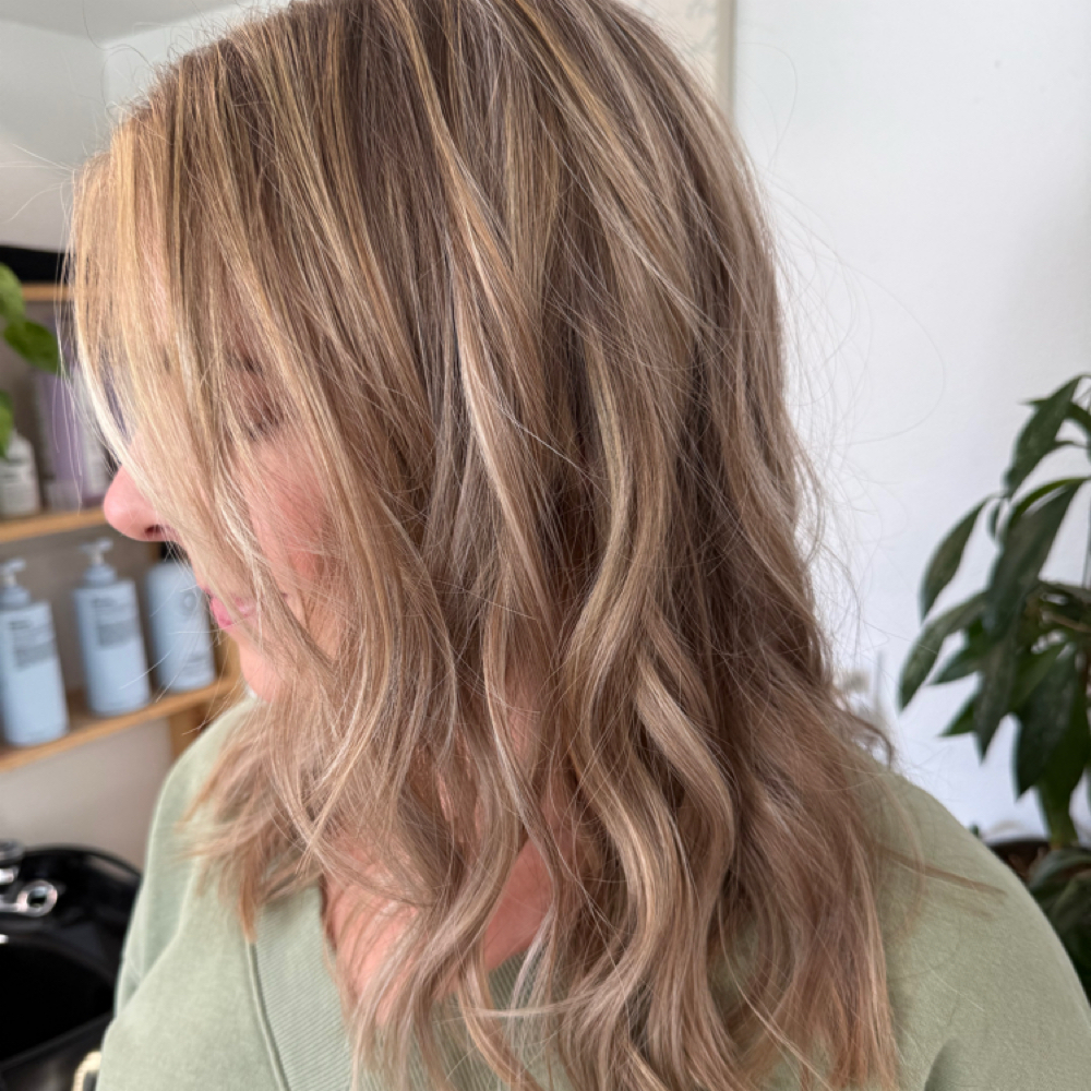 Traditional Highlight - Partial at Dani Gonz Hair Artistry in Colorado Springs, CO
