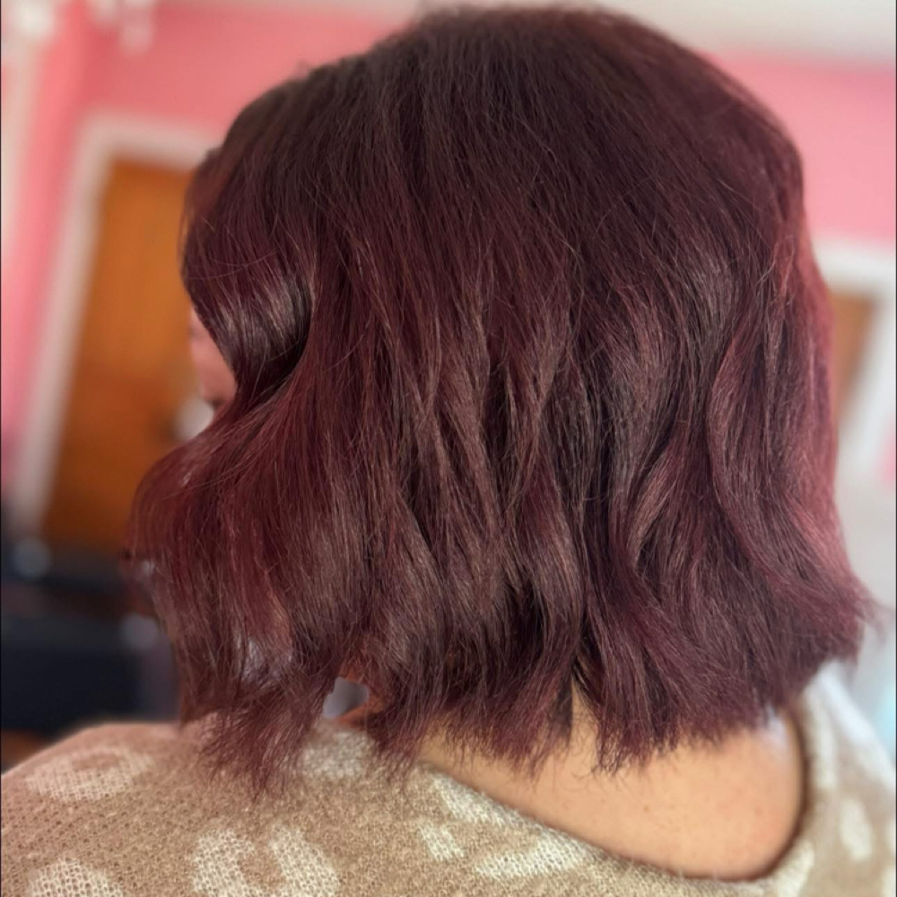 All Over Color at Salon Bestie in Quincy, IL