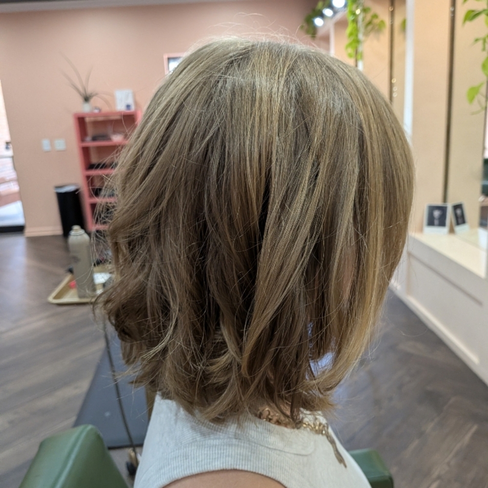 Dry Haircut at Birdie Watkins- @beautybybirdieky in Louisville, KY