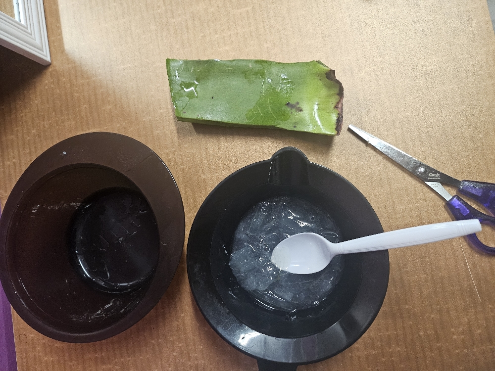 Aloe Treatment