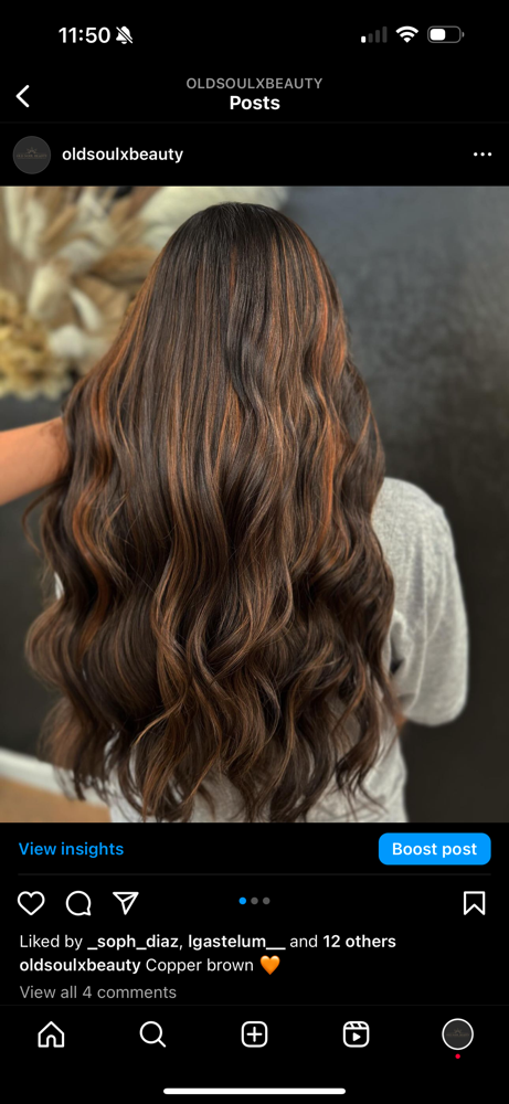 Highlights / Balayage