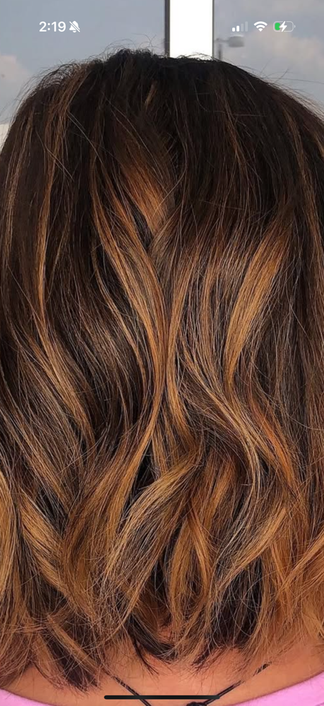 Balayage Partial