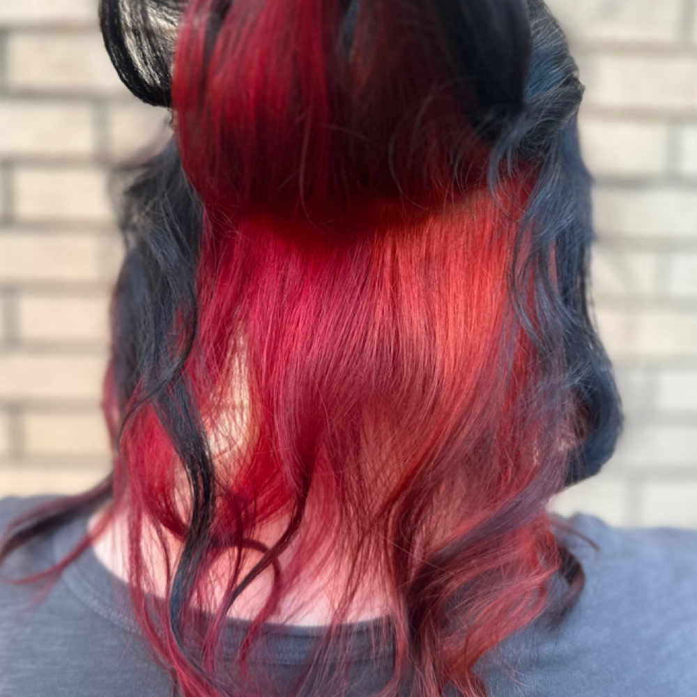 Color Block at Celestial Hair By Lauren in Arlington, TX