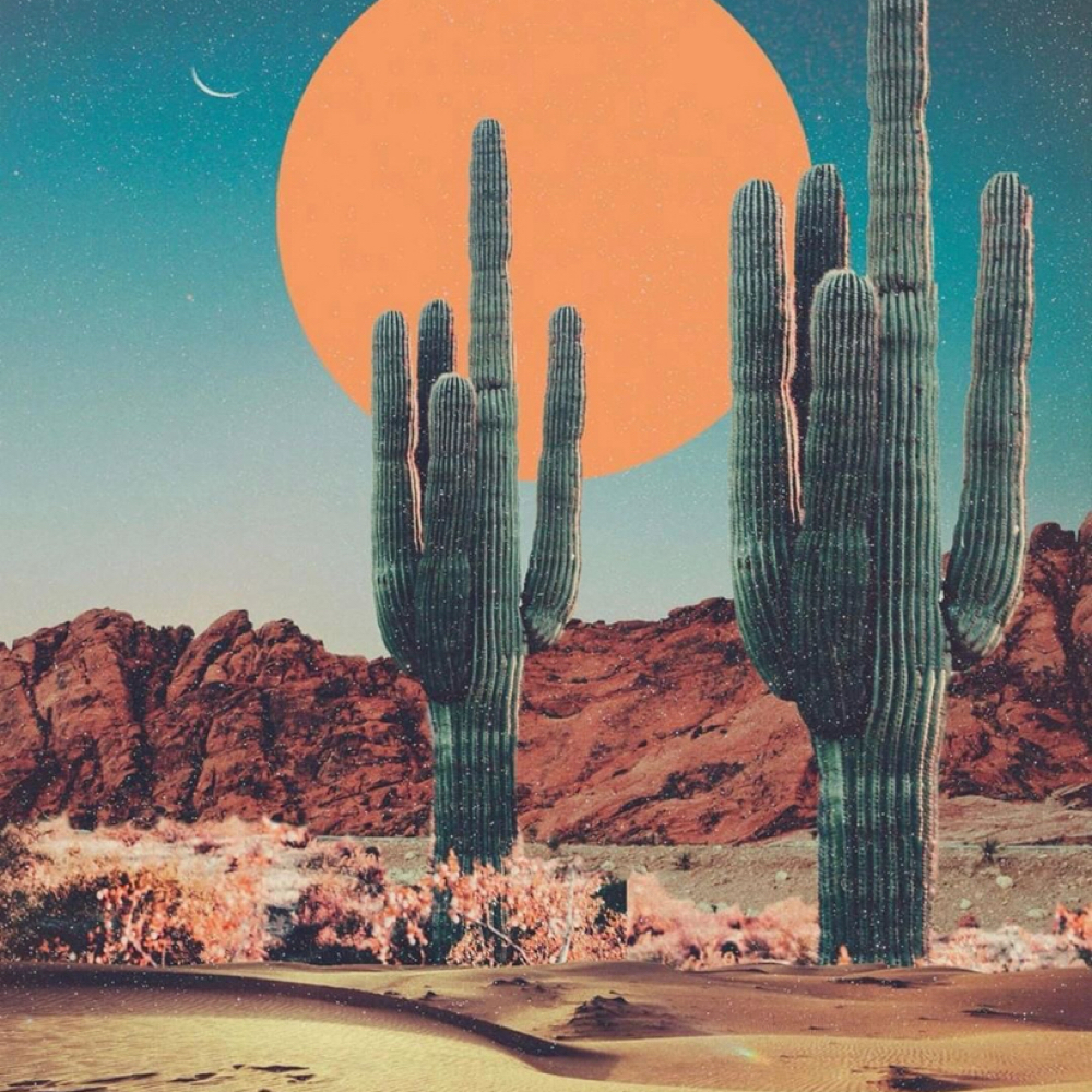 The Sonoran Ritual Facial at Sonoran Skin Studio in Tucson, AZ