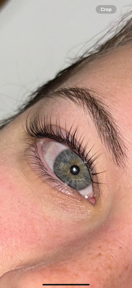 Lash Tint