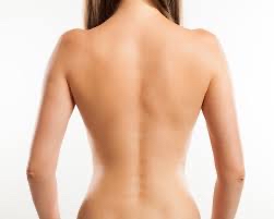 Half back wax