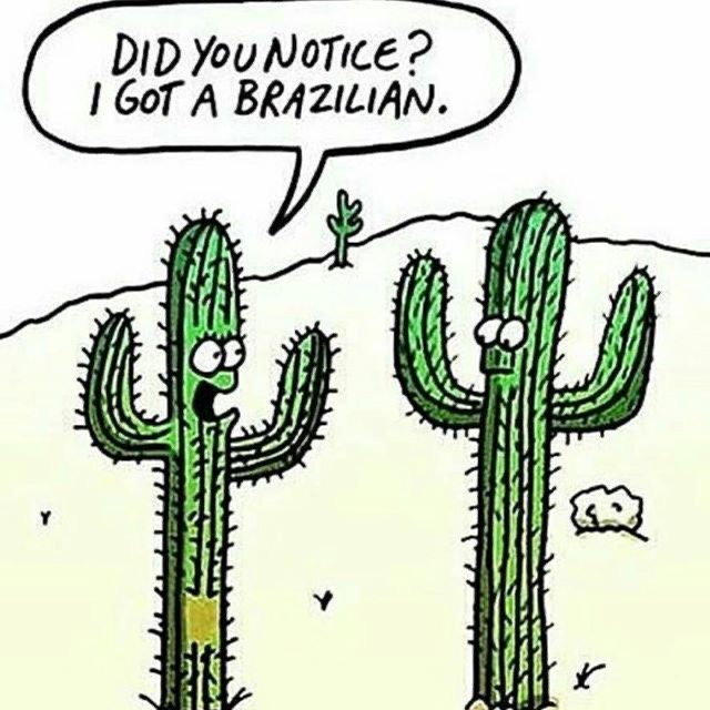 Men's Brazilian wax