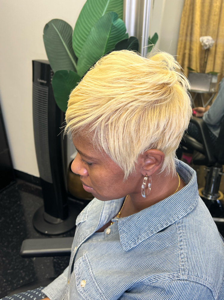 Double Process Color (short Hair