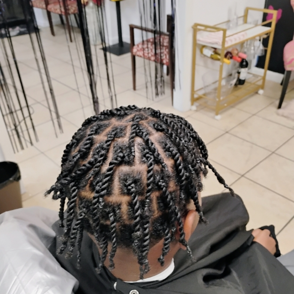 2 Strand Twist (Natural Hair) at Shades Of Fee Beauty Boutique in Baltimore, MD