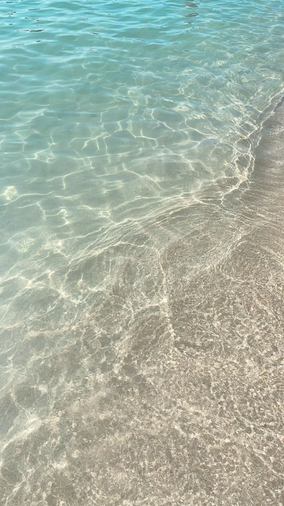 Summer Boundle!! ☀️🧴