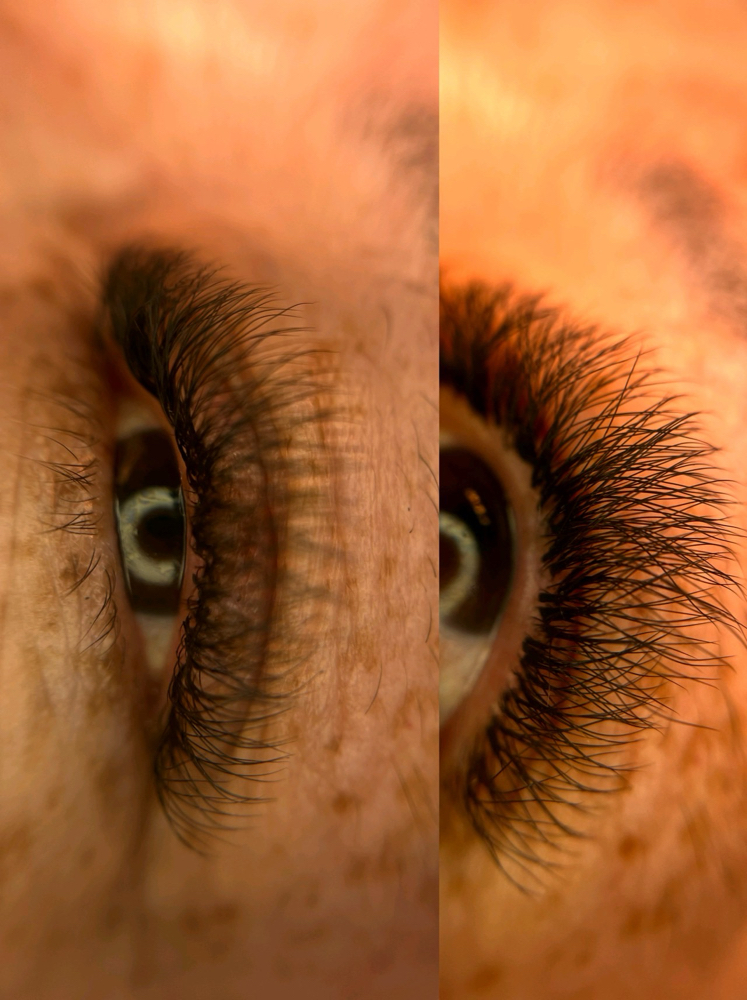 Lash Extension