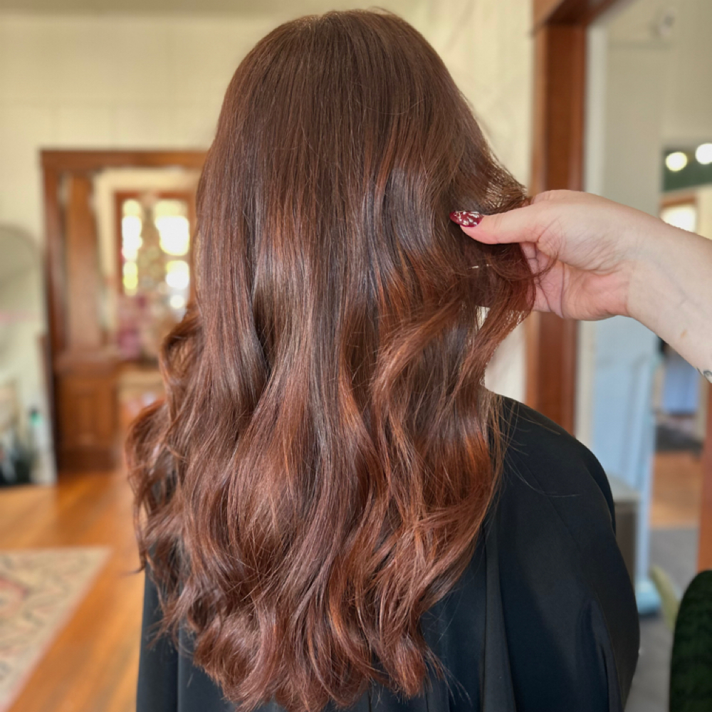 All-over Color at Jenna Colley in Buda, TX