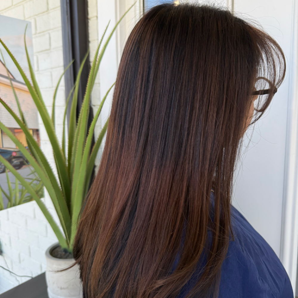 Redken CAT Treatment at Studio SMC LLC in Rocky Hill, CT