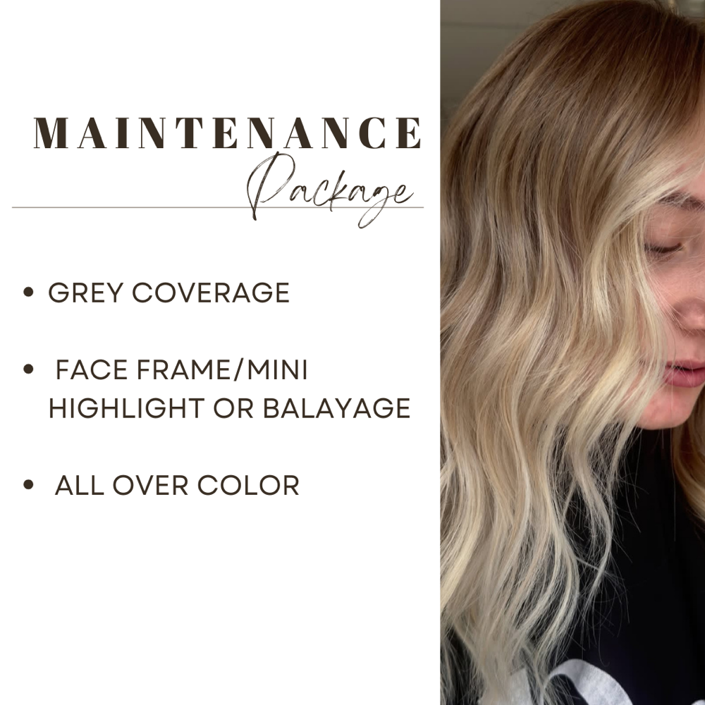 Maintenance Package - Lizzie