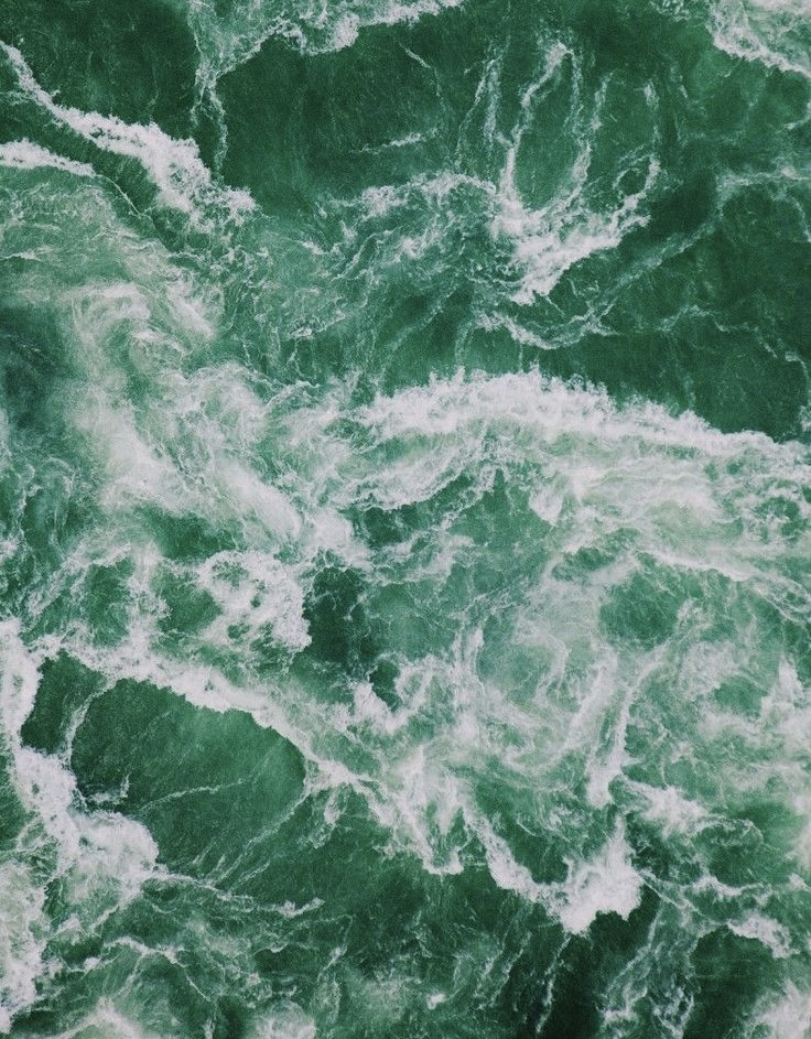 Tinsel at Creations By Kaylee in Johnson City, TN