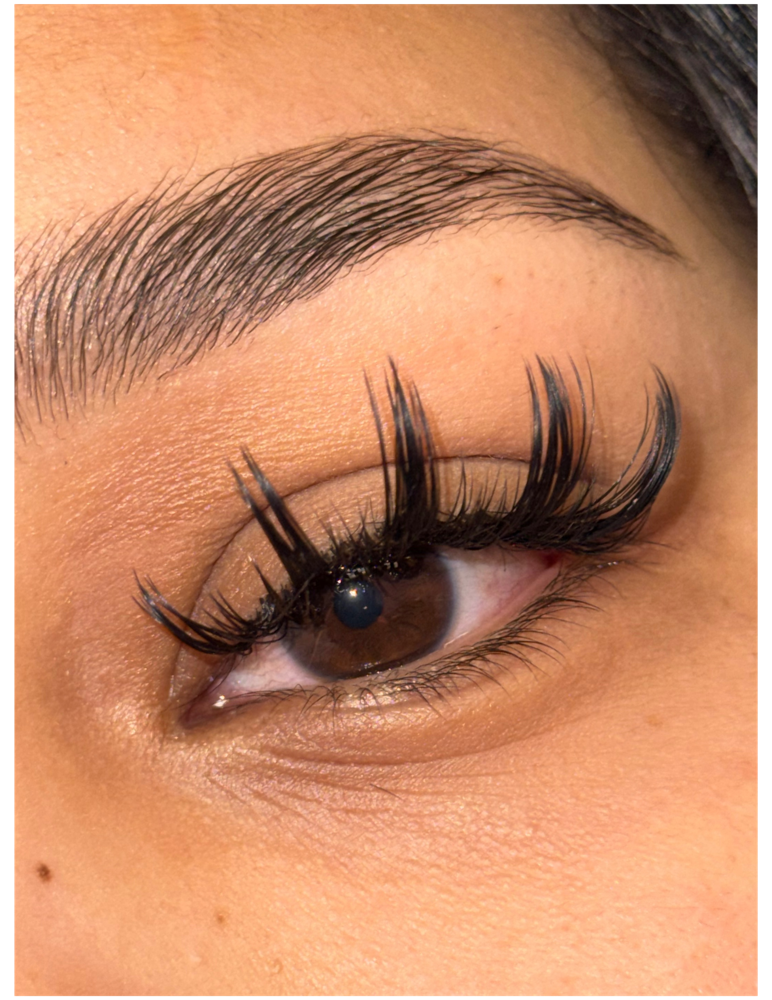 Wet set 2.5 - 3 Week Fill