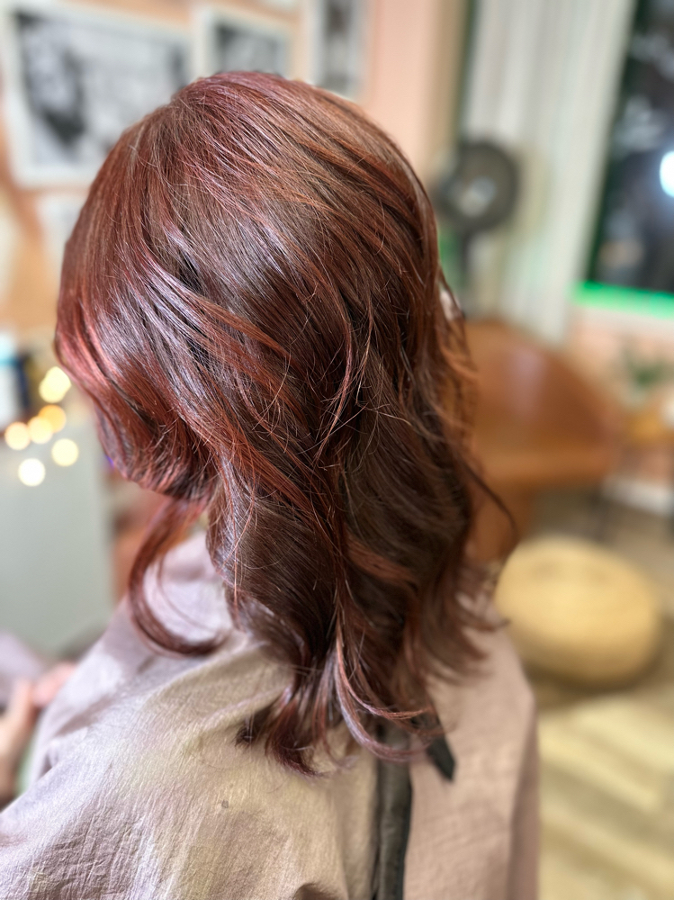 Root Touchup, One Color