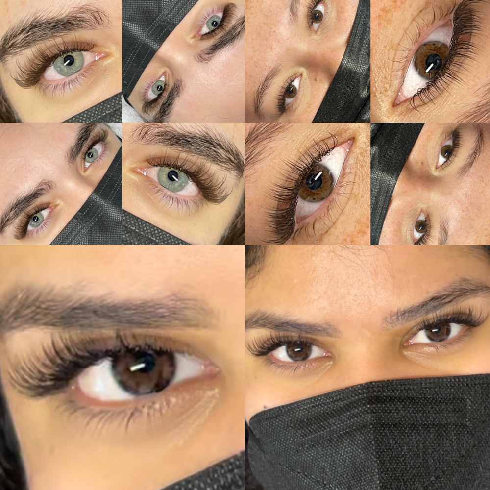 BROWN LASHES🤎