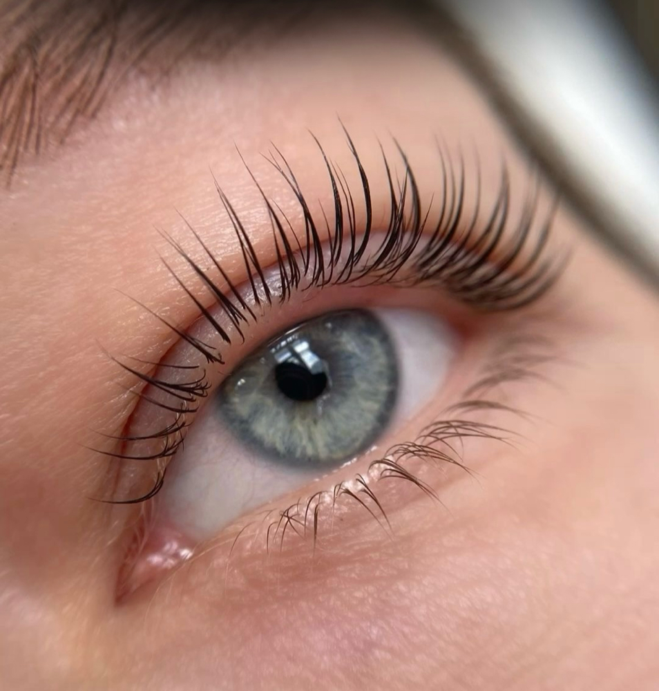 Brow & Lash at Beauty Syndicate in Denver, CO