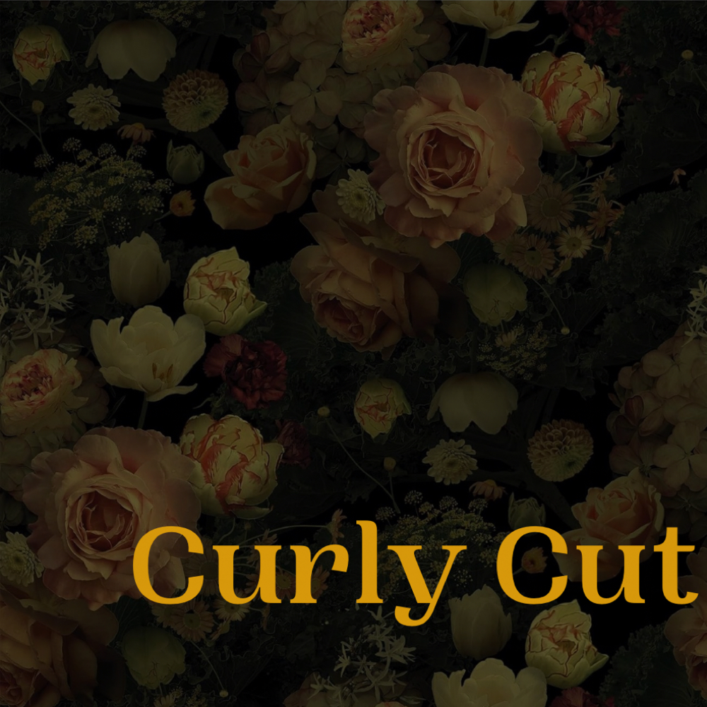 Curly Cut at Trashy Roots Studio in Holly Springs, NC