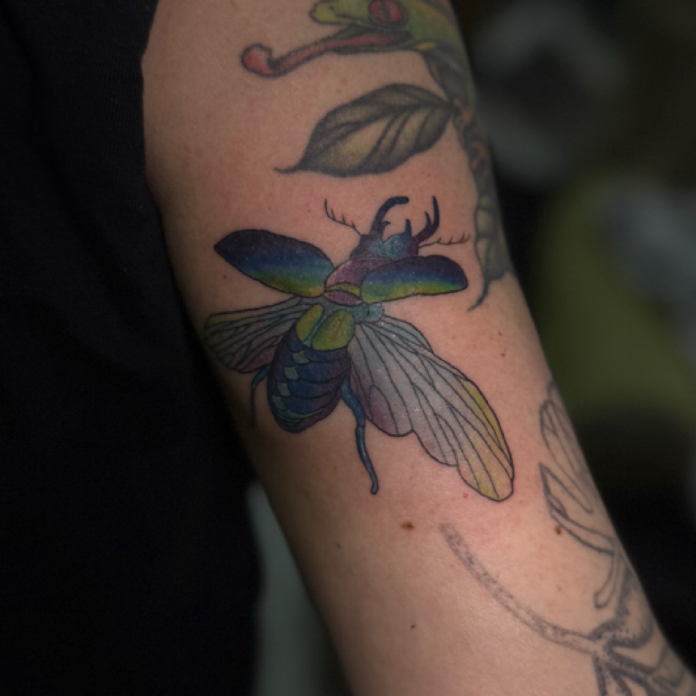 Tattoo Appointments at Lady Bully Ink in Salem, IN
