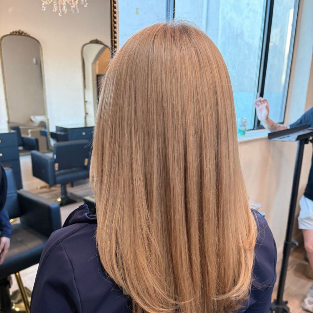 Bleach Root Touch Up at Angel The Hair God in San Jose, CA