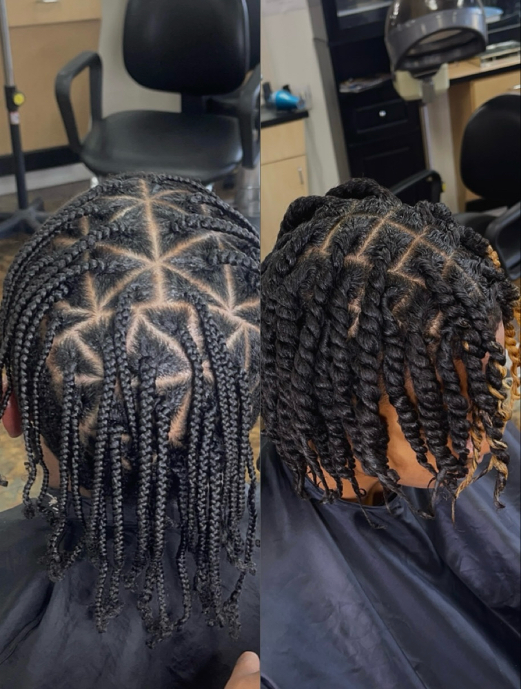 Natural Hair Plaits/2-strands at Styled by the Starr in Covington, GA