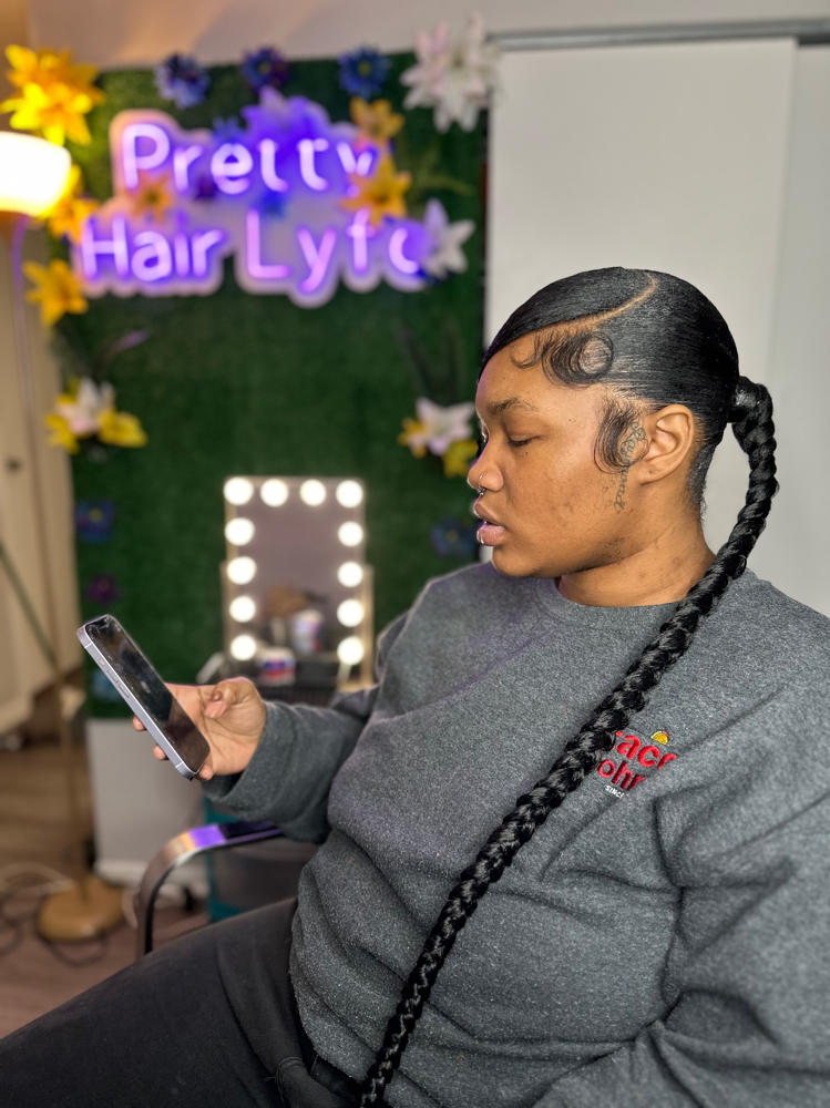 Sleek Braided Ponytail
